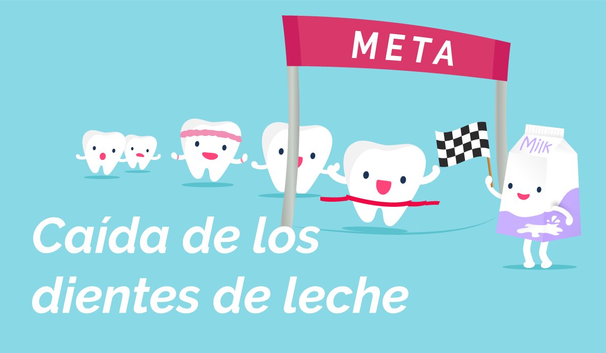 Los dientes de leche y su caída